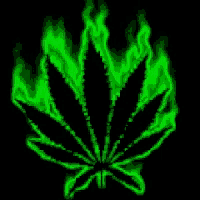 a marijuana leaf with green flames coming out of it .