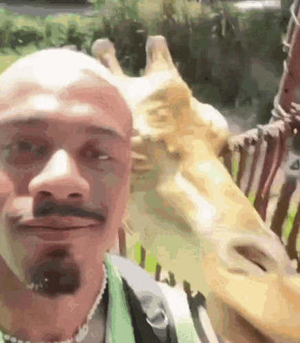 a man with a beard is taking a selfie with a giraffe statue in the background