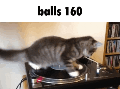 a cat is playing a record on a turntable with the words balls 160 below it