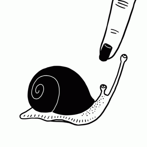 Snail Mean GIF
