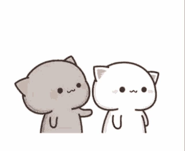 two cats are standing next to each other on a white background . one of the cats is touching the other 's face .