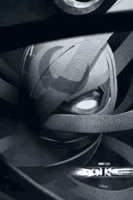 a black and white photo of a spider with a light coming out of its eyes .