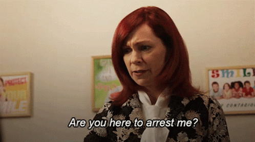 Are You Here To Arrest Me Elsbeth Tascioni GIF