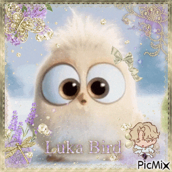 a picture of an owl with the name luka bird