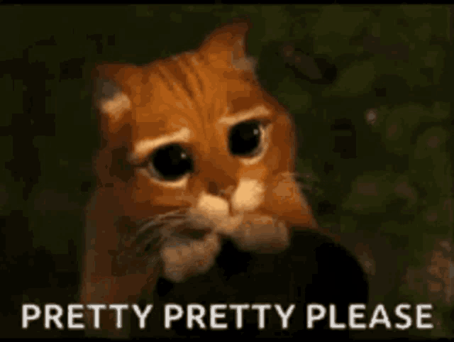 a sad cat is looking at the camera with the words `` pretty pretty please '' written below it .