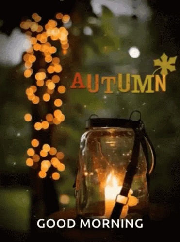 Aesthetic Autumn GIF - Aesthetic Autumn Fall GIFs