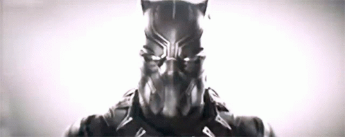 Black Panther Chadwick Boseman GIF - Black Panther Chadwick Boseman Superhero GIFs