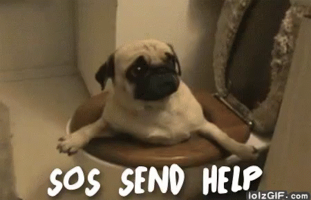 Send Help! GIF - Help Send Help Dog GIFs