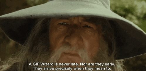 a man with a beard and a hat says a gif wizard is never late nor are they early