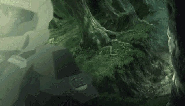 a person is standing in the middle of a forest in a cave with trees in the background .