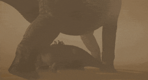 a silhouette of an elephant and a baby elephant