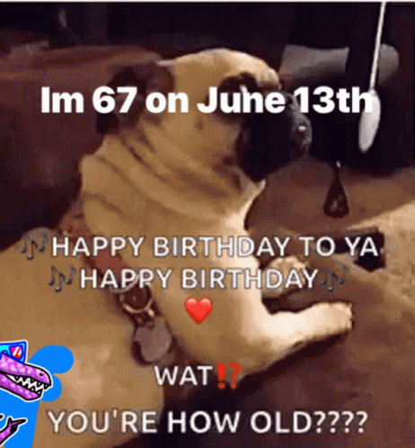 Im67years Old Happy Birthday To You GIF - Im67years Old Happy Birthday To You Happy Birthday GIFs