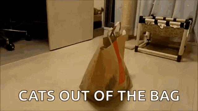 Cute Paperbag GIF - Cute Paperbag Surprise GIFs