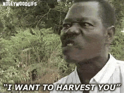 I Want To Harvest You Nollywood Movies GIF - I Want To Harvest You Nollywood Movies GIFs