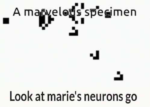 Marie Neuron GIF - Marie Neuron GIFs