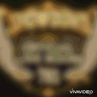a video that says vivavideo on the bottom right corner