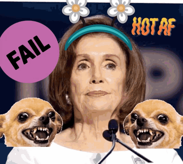 Nancy Pelosi Fail GIF - Nancy Pelosi Pelosi Fail GIFs