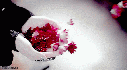 Flowers For You Thank You So Much GIF - Flowers For You Thank You So Much Blumen GIFs