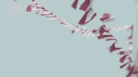 a row of red , white and blue flags flying in the wind .