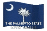 a blue flag with two palm trees and a crescent moon on it