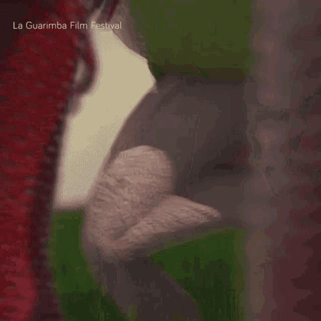 a close up of a person 's arm with the words la guarimba film festival written on the bottom