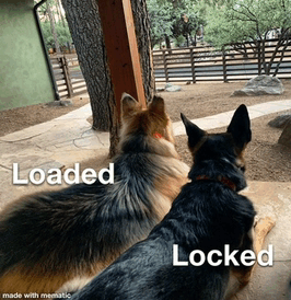 Watchdogs Locked And Loaded GIF - Watchdogs Locked And Loaded Dogs GIFs