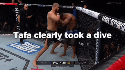 two men are fighting in a boxing ring with the words " tafa clearly took a dive " on the bottom