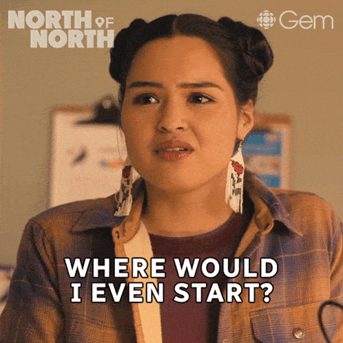 a woman says " where would i even start " on a poster for north of north