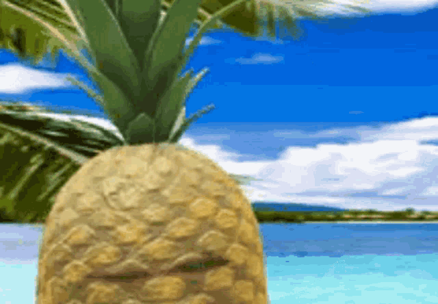 Judging Pineapple GIF - Judging Pineapple Surix GIFs