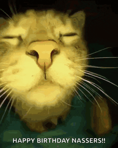 a close up of a cat 's face with the words " happy birthday nassers " below it