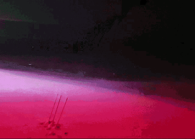 a pink and black background with a few sticks on it