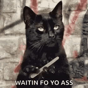 a black cat is holding a nail file in its paws while sitting in front of a brick wall .