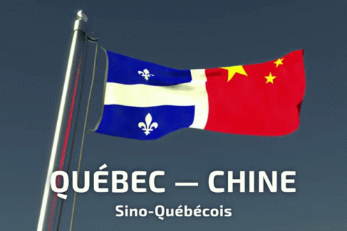 Sino Sino Québec GIF - Sino Sino Québec Quebec GIFs