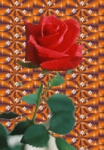 γιασενα Rose GIF - γιασενα Rose GIFs