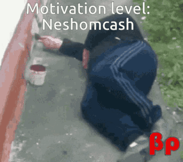 Neshomcash GIF - Neshomcash GIFs