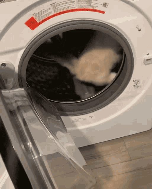 Running Washing Machine GIF - Running Washing Machine Playful GIFs