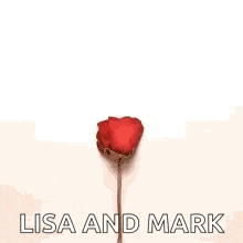 a heart made out of red rose petals with the words lisa and mark written on it .