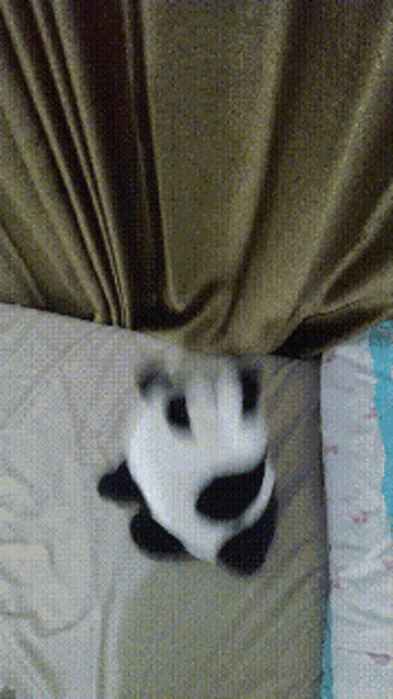 a stuffed panda bear is peeking out from under a curtain on a bed