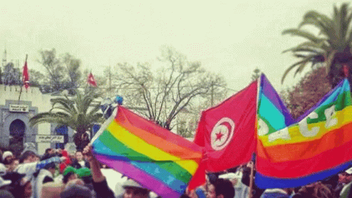 Kaderts Flag GIF - Kaderts Flag Pride GIFs