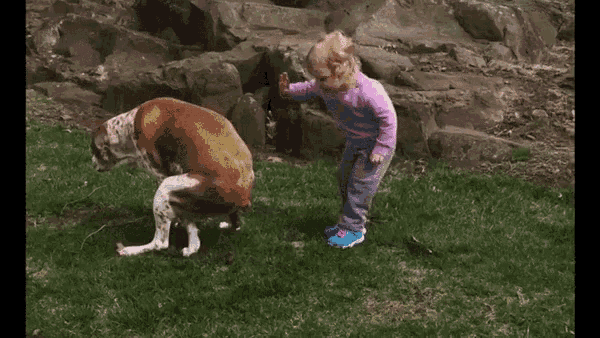a little girl in a purple shirt is petting a brown dog