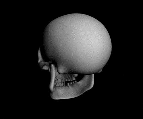 a 3d model of a human skull with its mouth open and teeth showing on a black background .