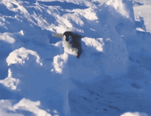 a pile of snow that looks like a cloud