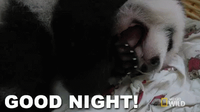Good Night! GIF - Good Night Sweet Dreams Panda GIFs