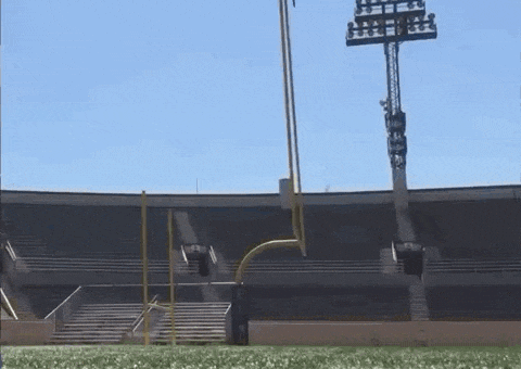 a football player is running on the field in a stadium .