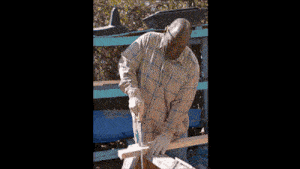 a man in a plaid shirt is cutting a piece of wood with a saw