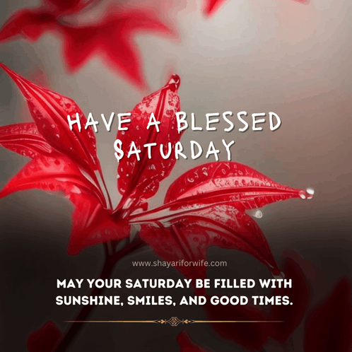 Blessings Saturday Images GIF - Blessings Saturday Images GIFs