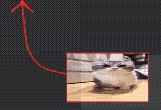 a picture of a cat on a table with a red arrow pointing up