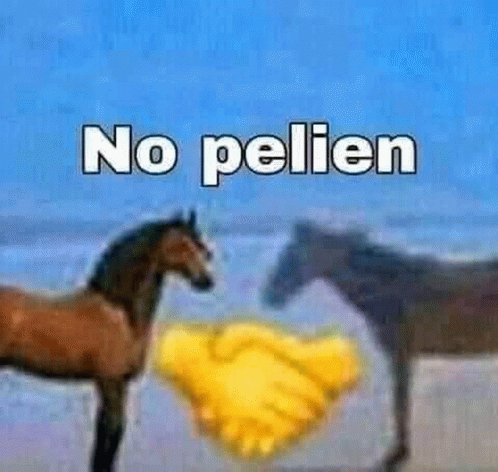 Pelien GIF - Pelien GIFs