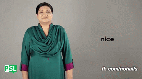 Nice Pakistan Sign Language GIF - Nice Pakistan Sign Language Nsb GIFs