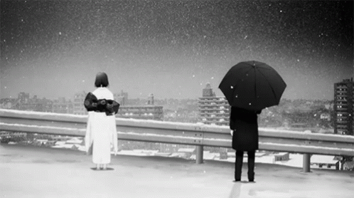 Kara No Kyokai GIF - Snow Lovers Umbrella GIFs